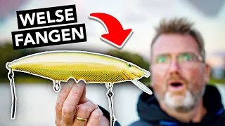 WELSANGELN für Anfänger 🎣 Die 3 besten Methoden vom Ufer!