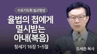 율법의 첩에게 멸시받는 아내(창세기16장 1절~5절) 수요기도회 설교 새누리교회 오세준목사 2024. 5. 8.