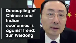 Decoupling of Chinese and Indian economies is against trend: Sun Weidong