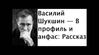 Василий Шукшин — В профиль и анфас: Рассказ На скамейке, у ворот, сидел старик.