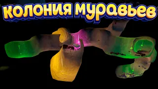 КОЛОНИЯ МУРАВЬЕВ ( AntQueen 3D )