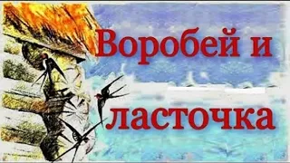 Аудиокнига Воробей и ласточка Лев Толстой