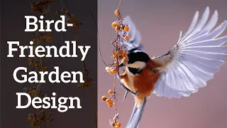 Bird Friendly Native Garden - Design