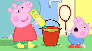 Kids Videos | Peppa and George Play With Bubbles | Peppa Pig Official | New Peppa Pig