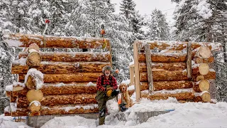 Building an Off Grid Log Cabin Alone in the Wilderness, Ep 9