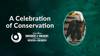 Varsity Tutors' StarCourse - A Celebration of Conservation with Wonders of Wildlife