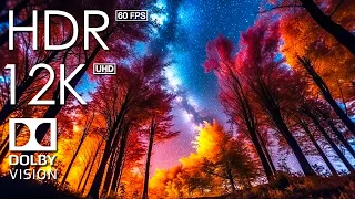 12K HDR 60FPS DOLBY VISION - STARRY SKY - BRIGHT GALAXY