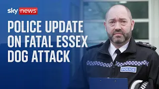 Police news conference on fatal dog attack in Essex