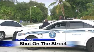 Man gunned down outside Miami home