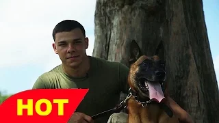 Military Working Dogs Documentary   Every Dog Has It s Day