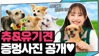 A sweet day with a shelter puppy 🐶 I Chuu Can Do It EP36
