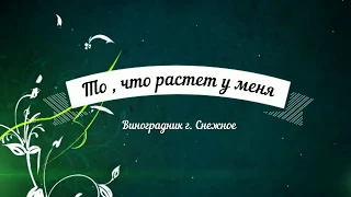 Виноградник г. Снежное ( Каталог )