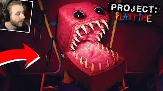 Noul Project Playtime cu YouTuberii! S-a Lansat OFICIAL!