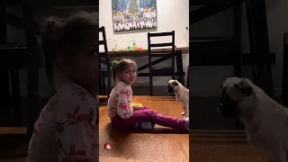 How to train a dog (so easy kids can do it)