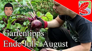 Gemüsegarten - Tipps  und Arbeiten Ende Juli / Anfang August