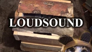 Охапка дров от LoudSound