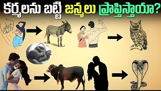 కర్మ సిద్ధాంతం ఎలా పనిచేస్తుంది? ఒకరి క్రియలు ఎలా ఉంటాయో, జన్మ కూడా అలాగే ఉంటుంది | కర్మ మరియు జన్మ