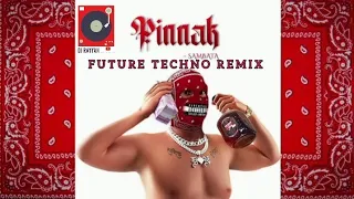 Pinnak ( Future Techno Remix Version by Dj Rayyan)