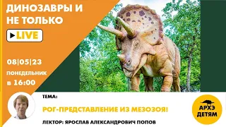 Занятие "Рог-представление из мезозоя!" кружка "Динозавры и не только" с Ярославом Поповым