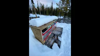 Wintering Colony Long