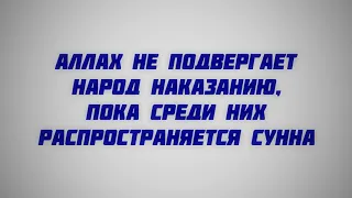 63. Аллах не подвергает народ наказанию, пока среди них распространяется Сунна || Ринат Абу Мухаммад