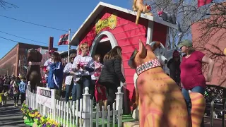 Happening in the Lou: Purina Pet Parade, Wiener Dog Derby