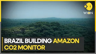 Brazil pushes for a bid to spray CO2 into Amazon rainforest in a preservation attempt