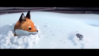 Should this be the John Lewis Christmas Advert 2017? The Fox and the Mouse