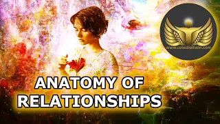 Anatomy of Relationships (Understanding Your Relationships)