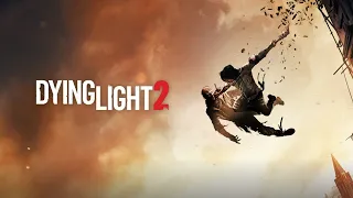 ОЧЕНЬ ПОДОЗРИТЕЛЬНЫЙ ДРУГАН Dying Light 2: Stay Human #2