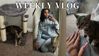 WEEKLY VLOG! I Adopted A Cat, Cooking, Apartment Furniture Updates, Hauls, & MORE