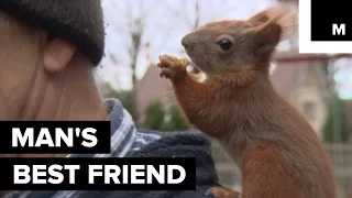 Rescued Baby Squirrel Becomes BFFs with Polish Man