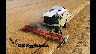 🌾Wielkie żniwa 2023🌾 w GR Sygulski