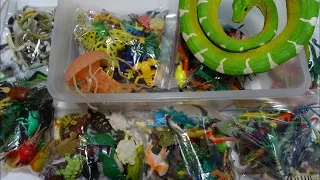 What's in the box: Small Plastic Animals! 100's of Reptiles, Fish, Dinosaurs, Bugs and more!