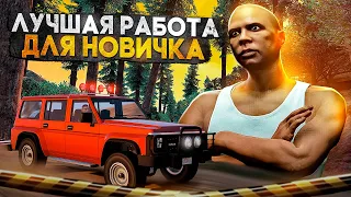 РАБОТА ДЛЯ НОВИЧКА ТОП 1 #5 с НУЛЯ до ГЕЛИКА в GTA 5 RP