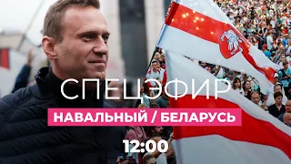 Навальный в немецкой клинике / Беларусь: пропавший без вести мертв, бывшего следователя задержали