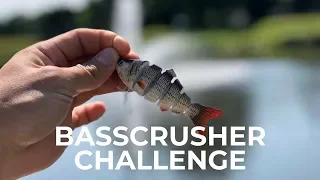 Hard Body Swim Bait Lure Challenge ( Bass Crusher)