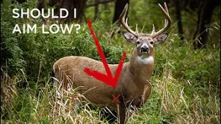 Where To AIM On A Deer - (Increasing bowhunters harvest rate with one tip)