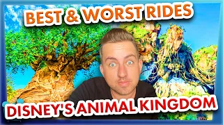 The BEST and WORST Rides in Disney's Animal Kingdom