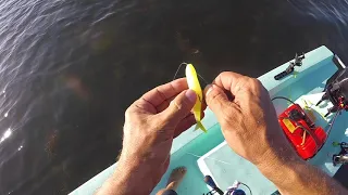 How to Use the Strike King Blade Minnow for Saltwater