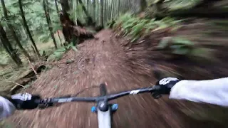 Atlas - Tiger Mountain - Washington Mountainbike