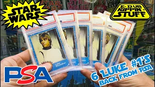 PSA Reveal of my 6 pack-fresh 1977 Star Wars Series 1 Luke #1's.  Did I kill, or get killed?