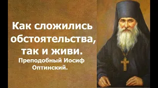 Как сложились обстоятельства, так и живи. Преподобный Иосиф Оптинский.