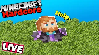 Gathering 100,000 LEAVES in HARDCORE MINECRAFT 1.20 - Survival Let's Play