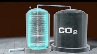 Carbonation Explained