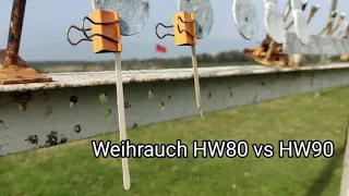 Hitting a 5mm target at 35m | Weihrauch HW80 and HW90