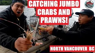 Crabbing and prawning North Vancouver 2022. Huge dungeness and BC spot prawns!