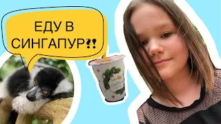 VLOG| Полёт в Сингапур❤️