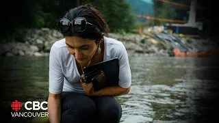 Concerns over Hope, B.C.'s salmon population