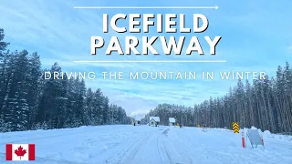 Icefield Parkway: Winter Drive Wonderland: | Banff National Park